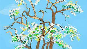 Tree in blossom